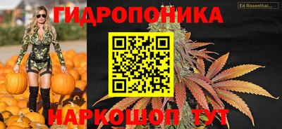 стаф Тверь