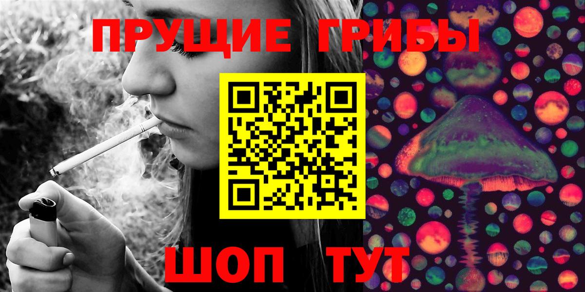 Псилоцибиновые грибы Psilocybine cubensis Элиста